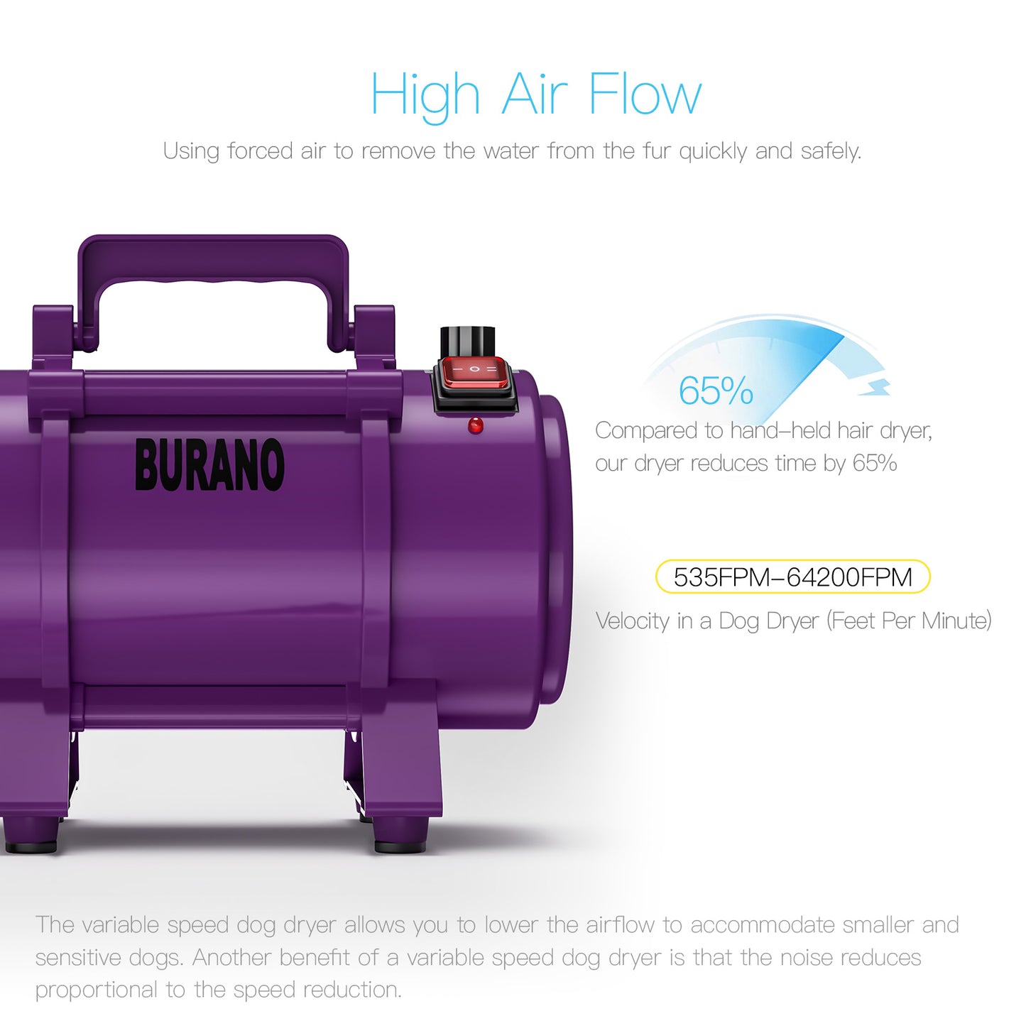 Burano Dog Dryer Purple