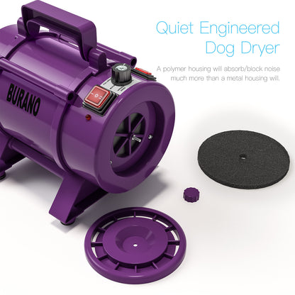 Burano Dog Dryer Purple