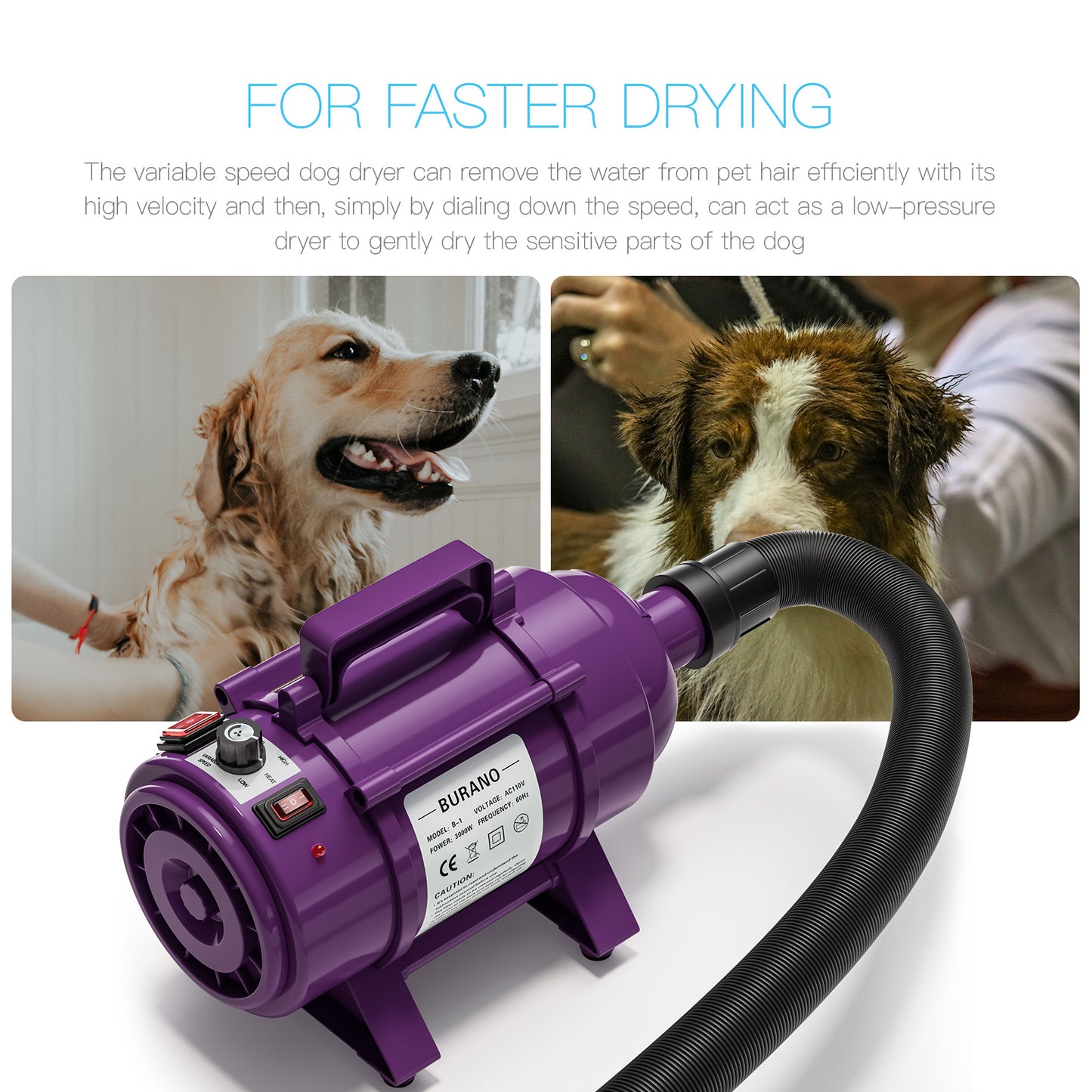 Burano Dog Dryer Purple